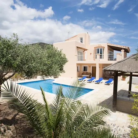 Tom Is Near To Playa Den Bossa